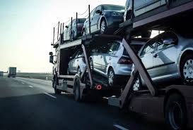 Export & Import